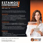 Motor 100 Distribuidora de Auto Peรงas