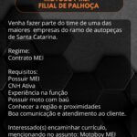 Motor 100 Distribuidora de Auto Peças