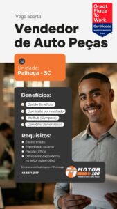 Motor 100 Distribuidora de Auto Peças