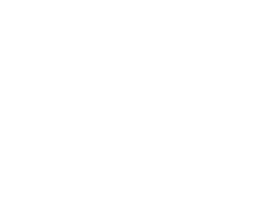 SCSEG